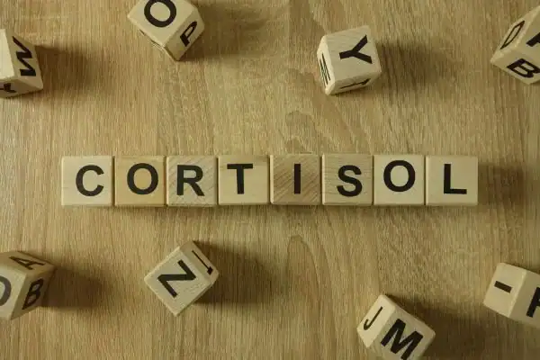 The Hidden Connection: How Stress Shapes Your Fitness and Body Composition 2 Image saying "Cortisol" and how stress Guildford impacts your wellbeing and bodies shape